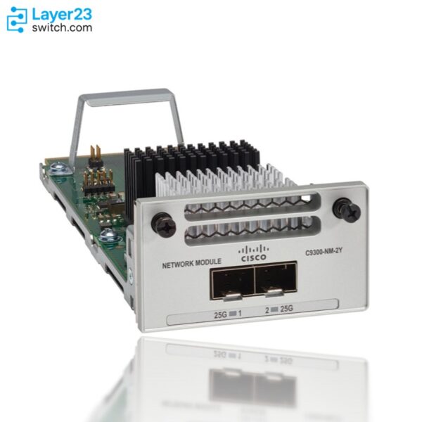 C9300-NM-2Y