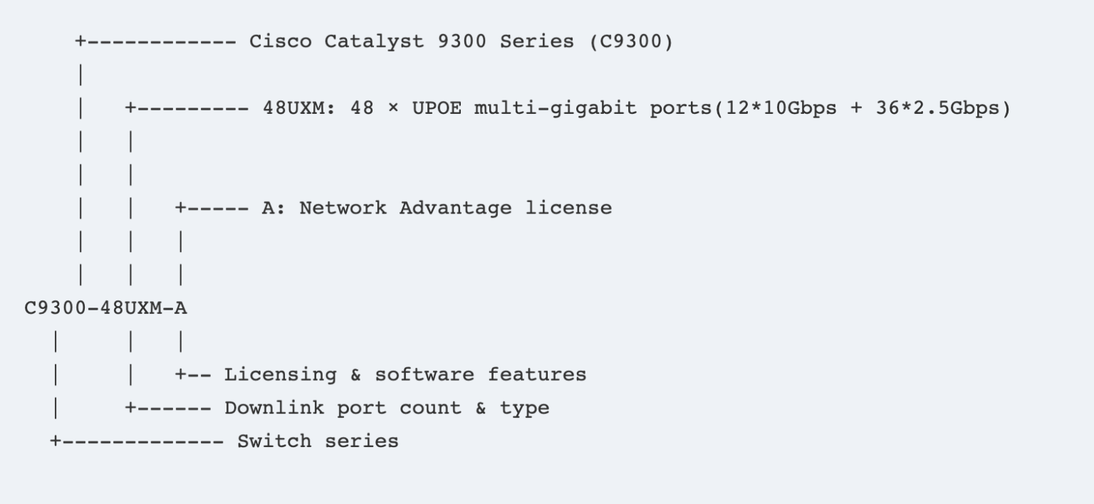Decode Cisco Catalyst 9000 Switch SKU | Complete 2025 Guide